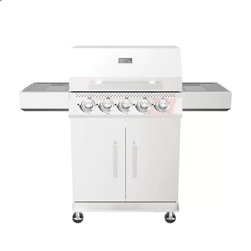 Bluegaz Z50 gasolgrill rostfritt stål 4 brännare sizzle burner